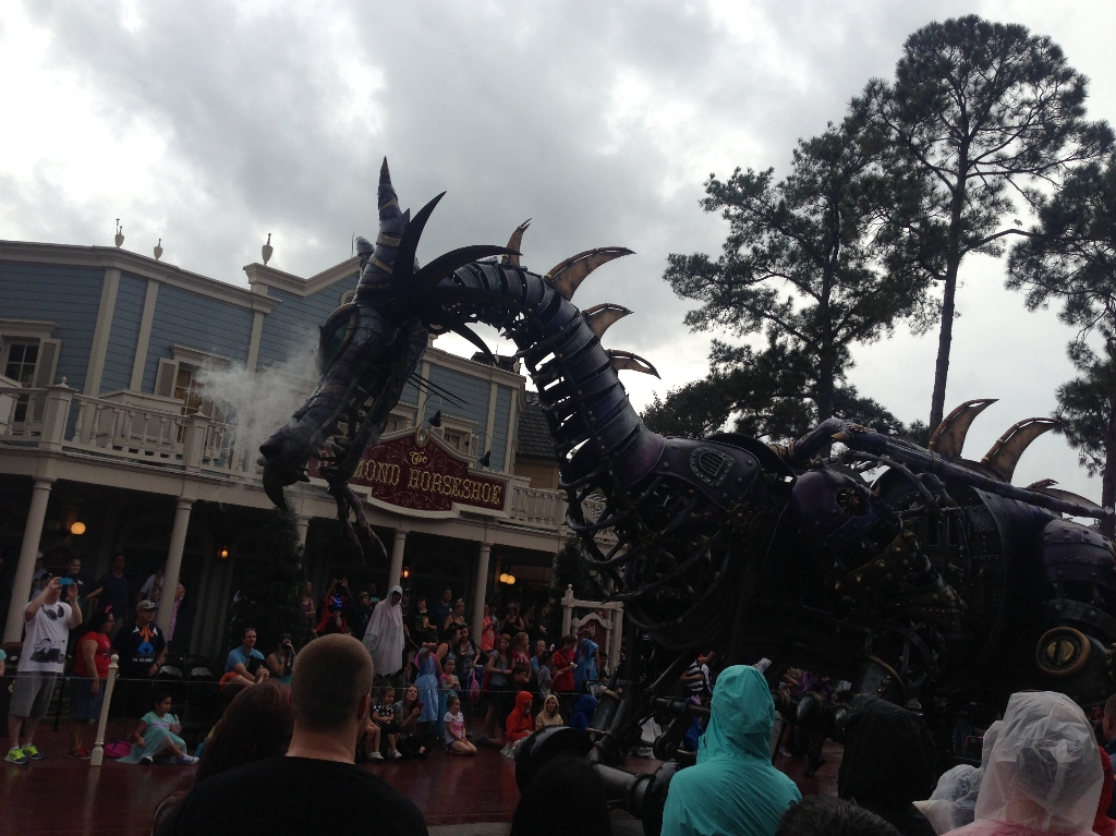 IMG_6593.JPG